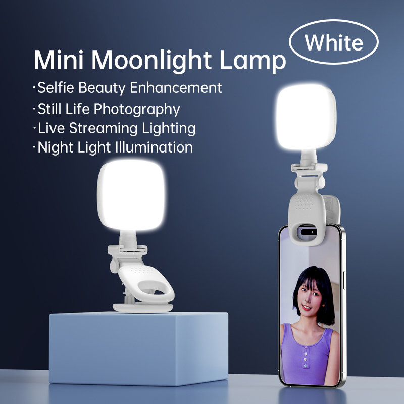 Portable LED Selfie Light Came - Lighting Gallery review and price